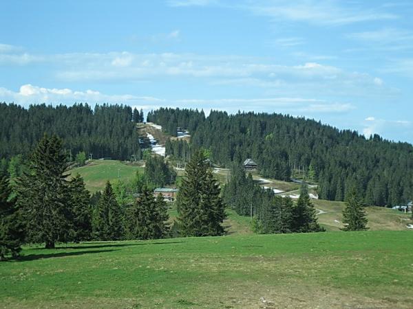 Schwarzwald 024